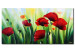 Canvas Red Poppies (1-piece) - colorful floral motif with green grass 47061