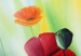 Canvas Red Poppies (1-piece) - colorful floral motif with green grass 47061 additionalThumb 2