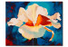 Canvas Print Rose 48761