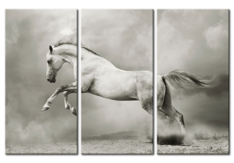 Canvas A white horse in motion 58661