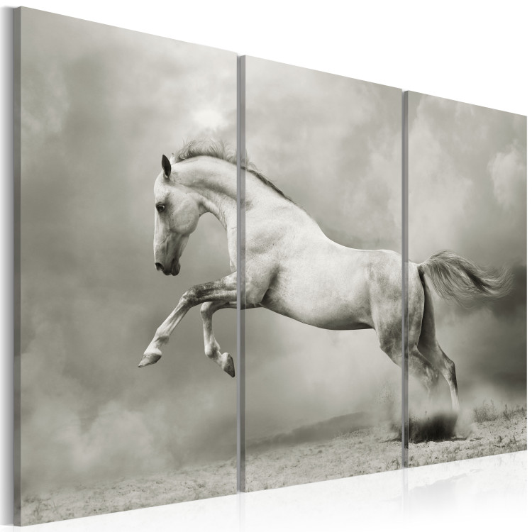 Canvas A white horse in motion 58661 additionalImage 2