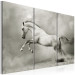 Canvas A white horse in motion 58661 additionalThumb 2