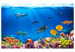 Wall Mural Underwater kingdom 61261 additionalThumb 1