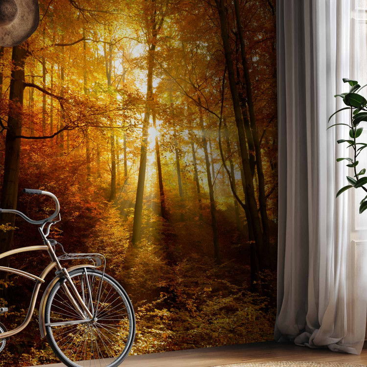 Photo Wallpaper Autumn landscape - trees with yellow leaves in sunlight 92061 additionalImage 7