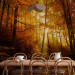 Photo Wallpaper Autumn landscape - trees with yellow leaves in sunlight 92061 additionalThumb 6