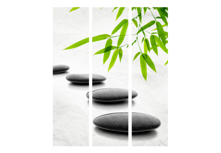Room Divider Screen Zen Stones - black pebbles and bamboo leaves in an oriental motif 95561 additionalImage 3