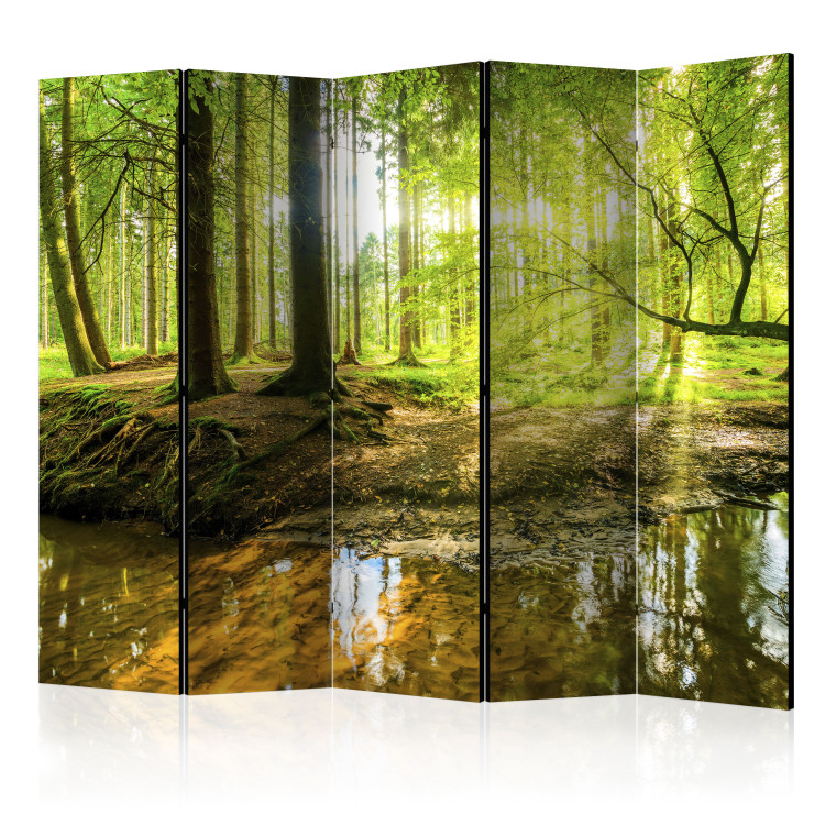 Room Divider Screen Forest Lake II - landscape of forest and water in the glow of sunlight 95661