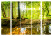 Room Divider Screen Forest Lake II - landscape of forest and water in the glow of sunlight 95661 additionalThumb 7