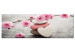 Canvas Zen: Cherry Blossoms 97461
