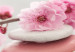 Canvas Zen: Cherry Blossoms 97461 additionalThumb 5