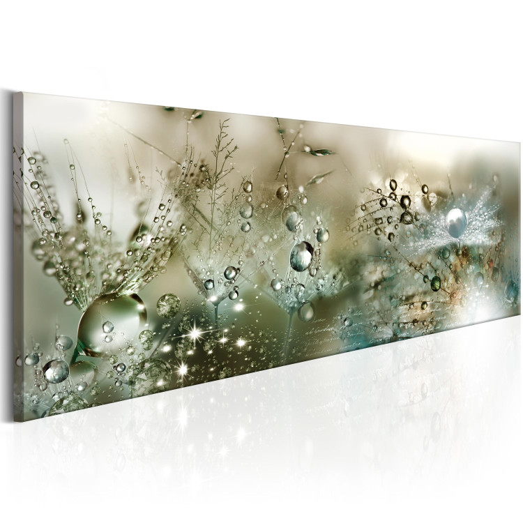 Canvas Weeping Dandelions (1-piece) - Water Droplets Glistening on Flowers 105171 additionalImage 2