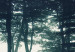 Canvas Dark Forest (5 Parts) Narrow 107771 additionalThumb 4