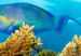Canvas Coral Reef (5 Parts) Narrow 113871 additionalThumb 4