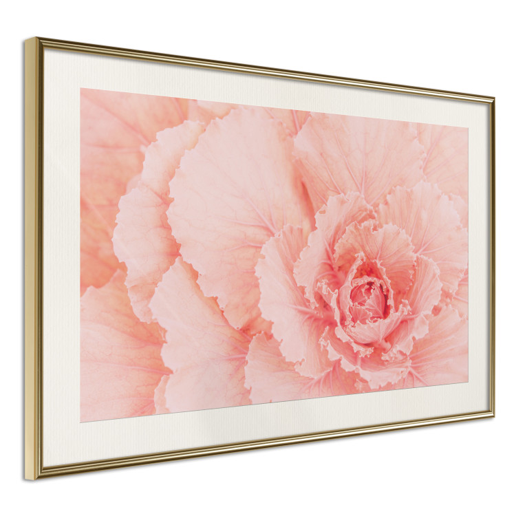 Poster Artistry of Delicacy - unique composition with pink flower petals 117771 additionalImage 2