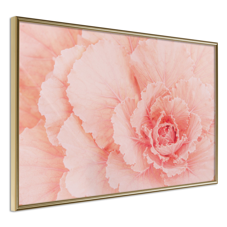 Poster Artistry of Delicacy - unique composition with pink flower petals 117771 additionalImage 14