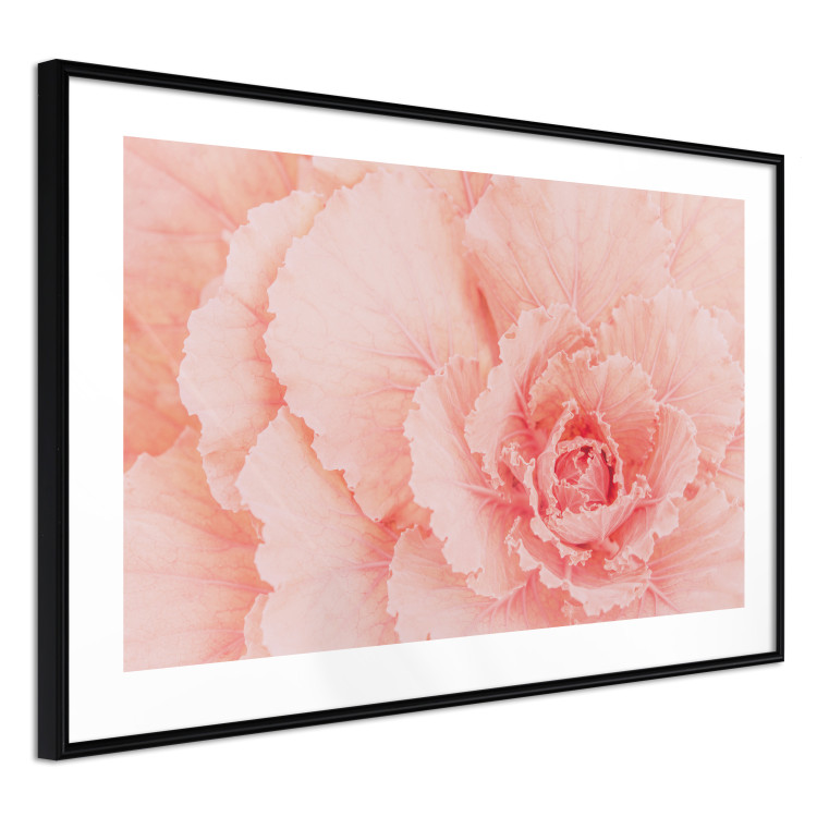 Poster Artistry of Delicacy - unique composition with pink flower petals 117771 additionalImage 13