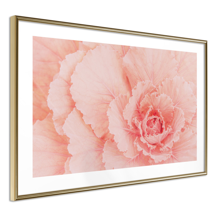 Poster Artistry of Delicacy - unique composition with pink flower petals 117771 additionalImage 8
