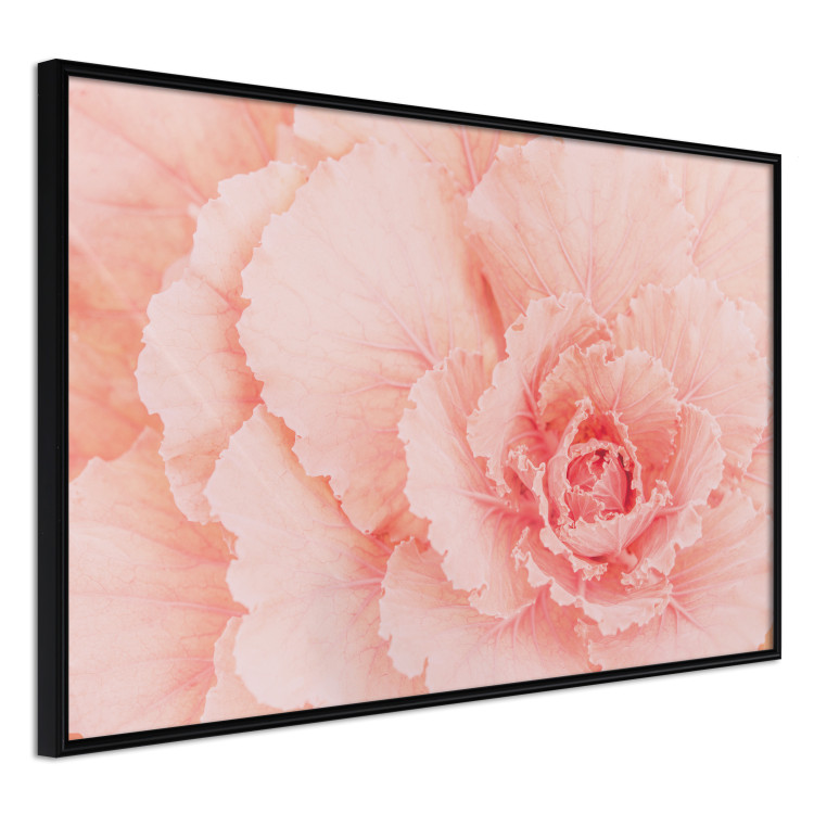 Poster Artistry of Delicacy - unique composition with pink flower petals 117771 additionalImage 12