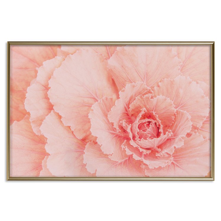 Poster Artistry of Delicacy - unique composition with pink flower petals 117771 additionalImage 25