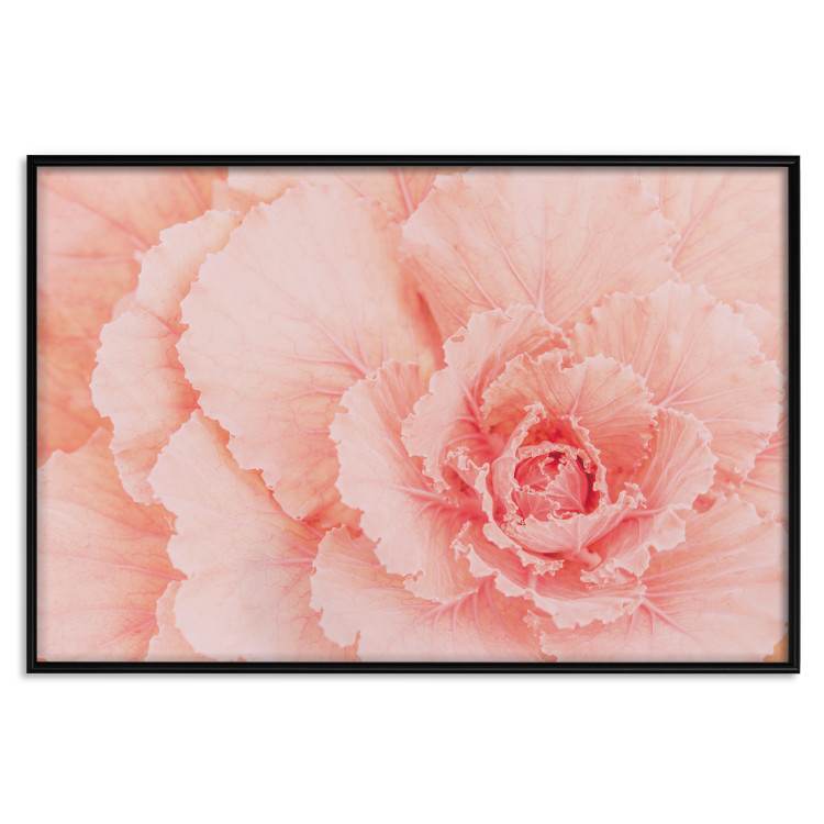 Poster Artistry of Delicacy - unique composition with pink flower petals 117771 additionalImage 19