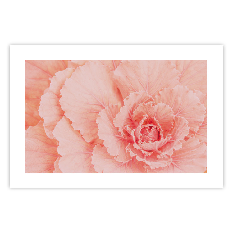 Poster Artistry of Delicacy - unique composition with pink flower petals 117771 additionalImage 18