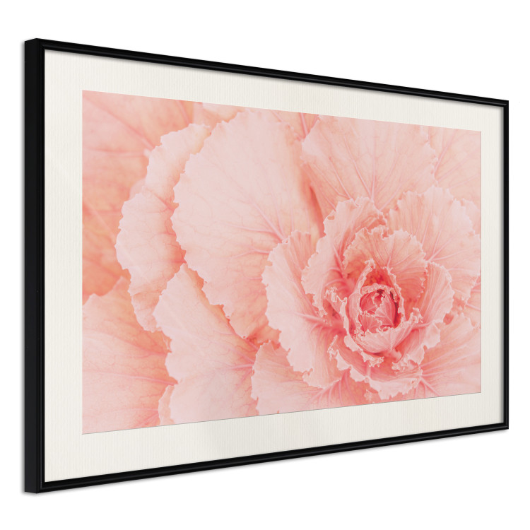 Poster Artistry of Delicacy - unique composition with pink flower petals 117771 additionalImage 3