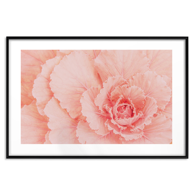 Poster Artistry of Delicacy - unique composition with pink flower petals 117771 additionalImage 26