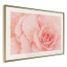Poster Artistry of Delicacy - unique composition with pink flower petals 117771 additionalThumb 2