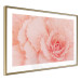 Poster Artistry of Delicacy - unique composition with pink flower petals 117771 additionalThumb 6