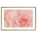 Poster Artistry of Delicacy - unique composition with pink flower petals 117771 additionalThumb 27