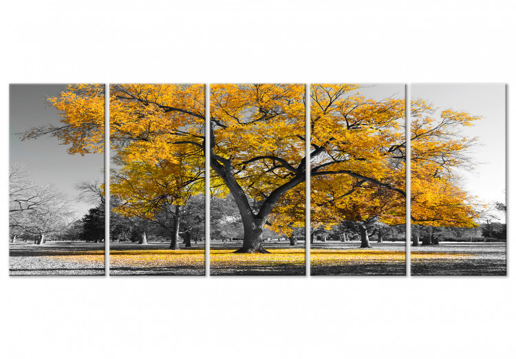 Canvas The oldest tree - autumn landscape, tree and golden leaves 122771