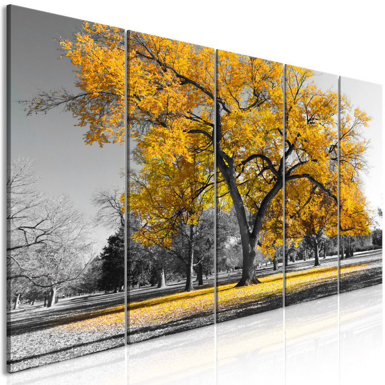 Canvas The oldest tree - autumn landscape, tree and golden leaves 122771 additionalImage 2