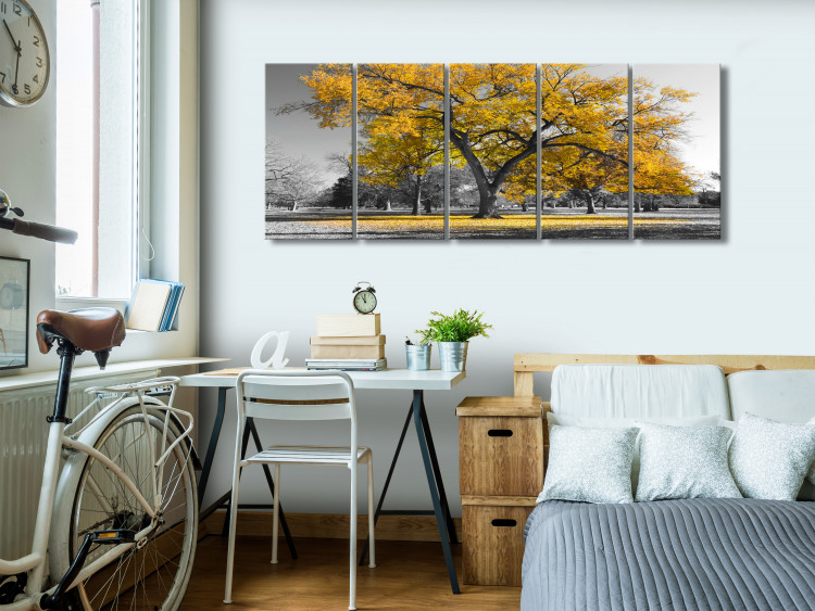 Canvas The oldest tree - autumn landscape, tree and golden leaves 122771 additionalImage 3