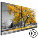 Canvas The oldest tree - autumn landscape, tree and golden leaves 122771 additionalThumb 6
