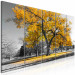 Canvas The oldest tree - autumn landscape, tree and golden leaves 122771 additionalThumb 2