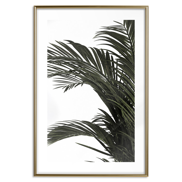 Poster Jungle Treasures - green leaves of tropical plant on white background 123671 additionalImage 14