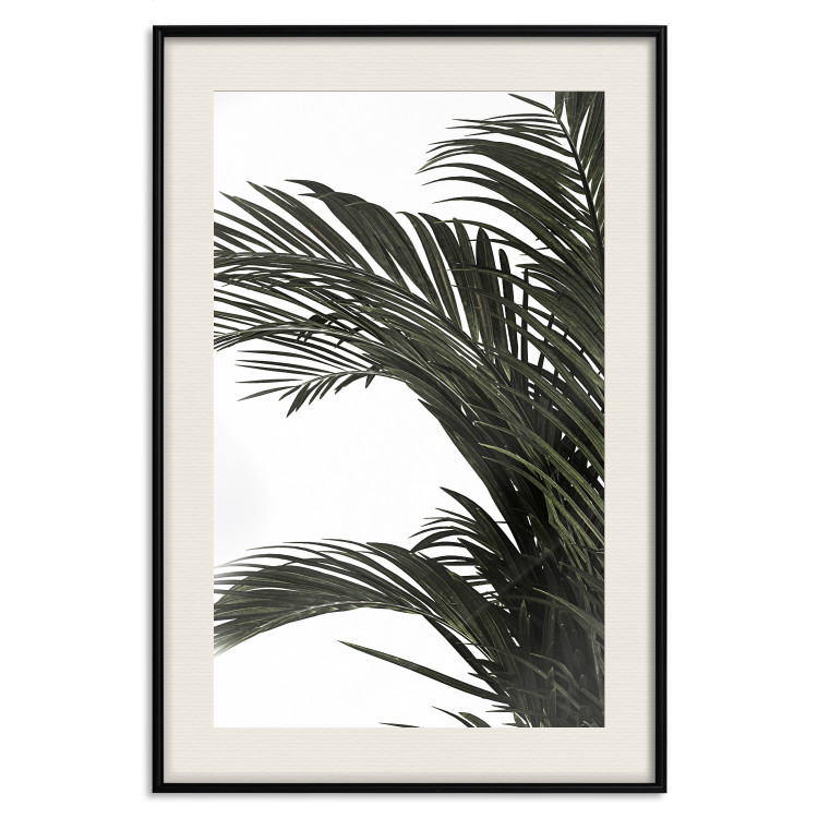 Poster Jungle Treasures - green leaves of tropical plant on white background 123671 additionalImage 18