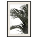 Poster Jungle Treasures - green leaves of tropical plant on white background 123671 additionalThumb 18