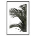 Poster Jungle Treasures - green leaves of tropical plant on white background 123671 additionalThumb 15