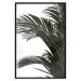 Poster Jungle Treasures - green leaves of tropical plant on white background 123671 additionalThumb 24