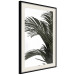 Poster Jungle Treasures - green leaves of tropical plant on white background 123671 additionalThumb 3