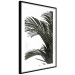 Poster Jungle Treasures - green leaves of tropical plant on white background 123671 additionalThumb 11
