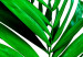 Canvas Juicy Leaf (1 Part) Vertical 125171 additionalThumb 5