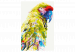 Paint by Number Kit Tropical Parrot 127971 additionalThumb 7