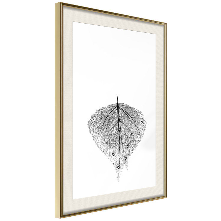 Poster Macro Leaf - black and white leaf texture on a plain white background 129771 additionalImage 3