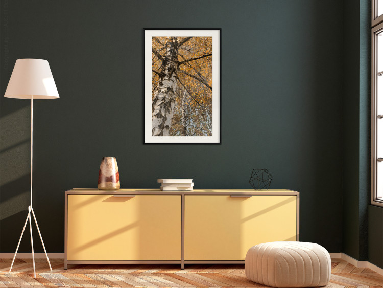 Wall Poster Autumn Palette - autumn landscape of trees with golden leaves 131771 additionalImage 24