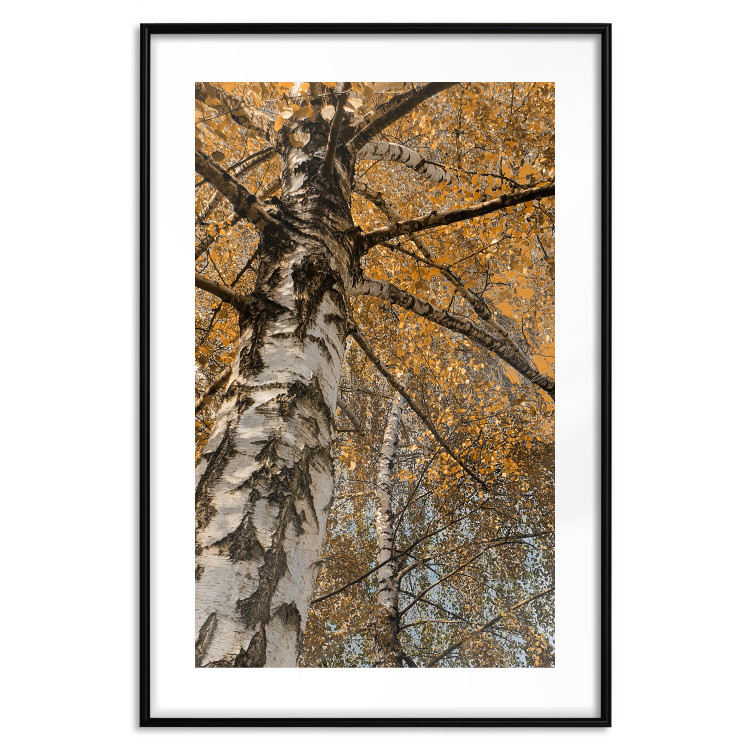 Wall Poster Autumn Palette - autumn landscape of trees with golden leaves 131771 additionalImage 17