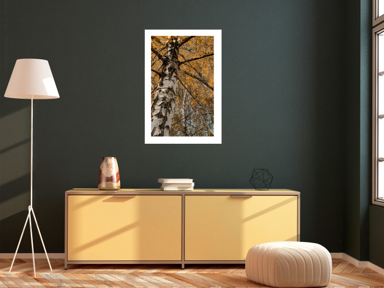 Wall Poster Autumn Palette - autumn landscape of trees with golden leaves 131771 additionalImage 5