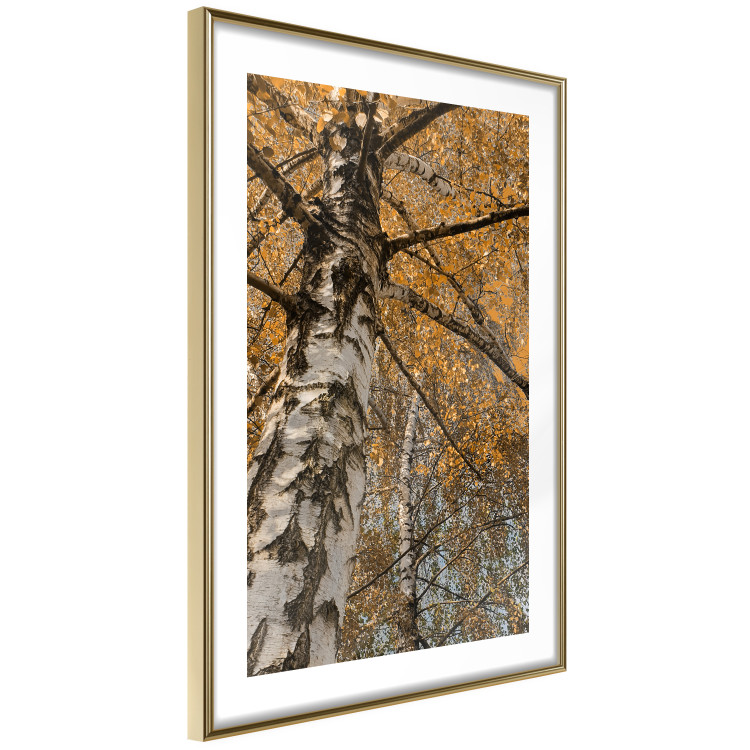 Wall Poster Autumn Palette - autumn landscape of trees with golden leaves 131771 additionalImage 9