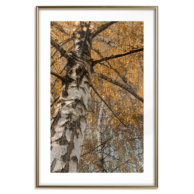 Wall Poster Autumn Palette - autumn landscape of trees with golden leaves 131771 additionalImage 14